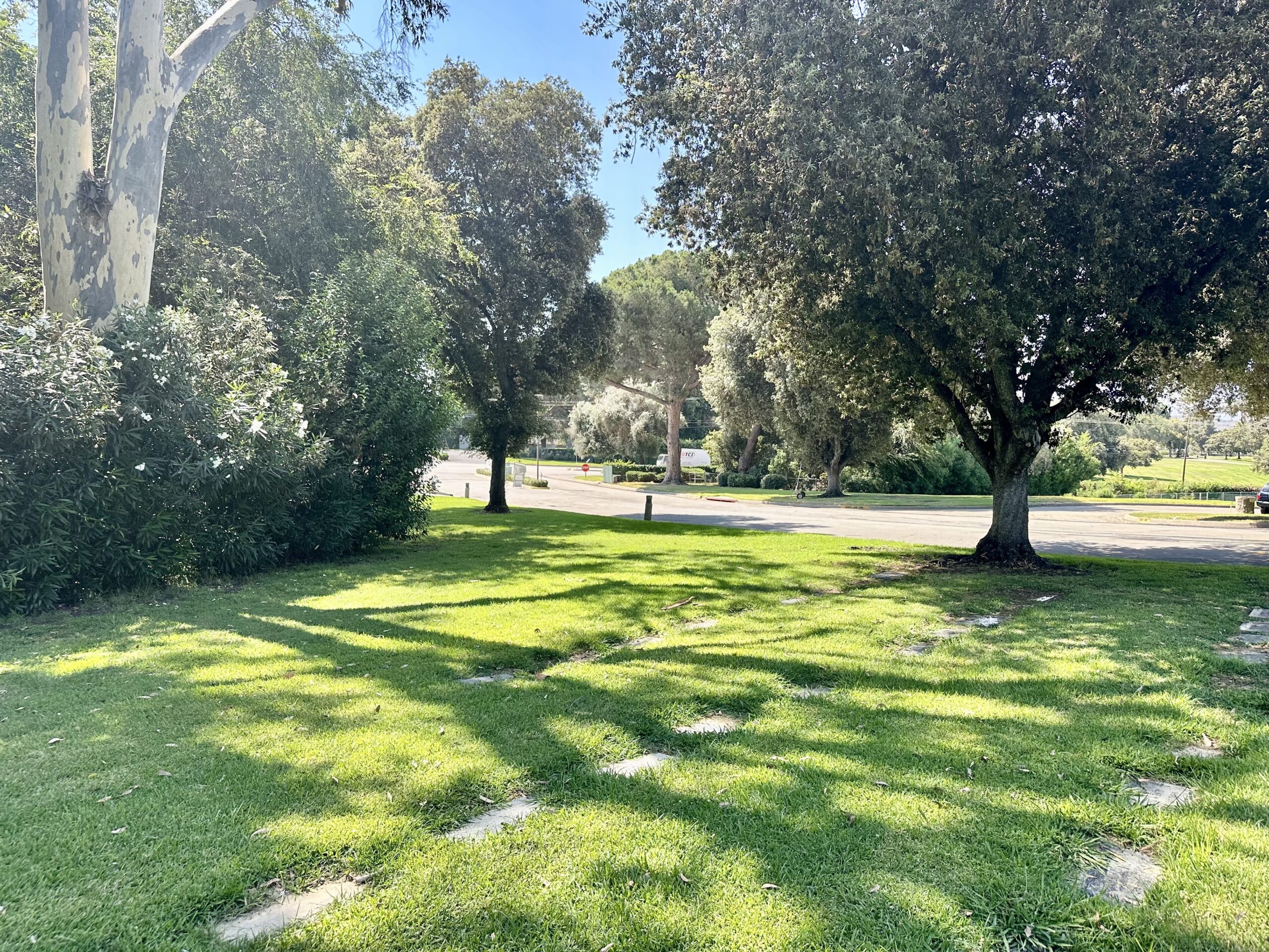 Two grave spaces in South Lawn