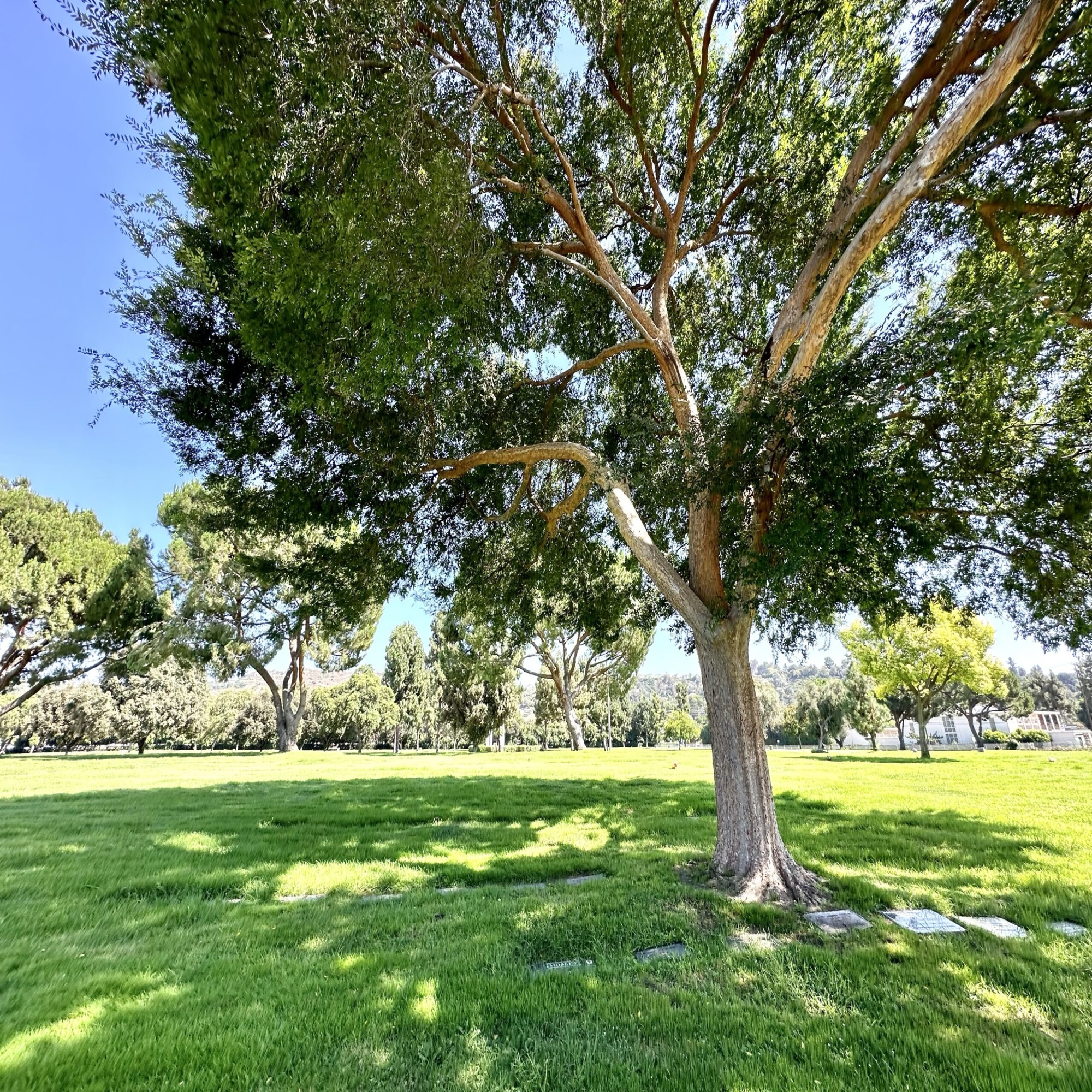 Two grave spaces in Garden of Valor