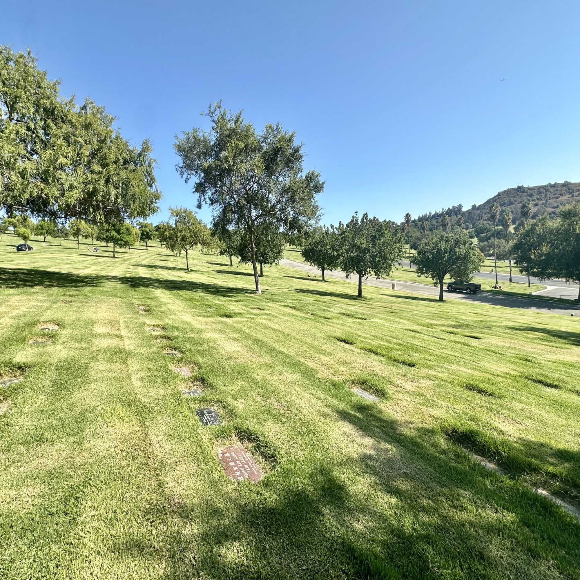Two grave spaces together in Sunshine Terrace