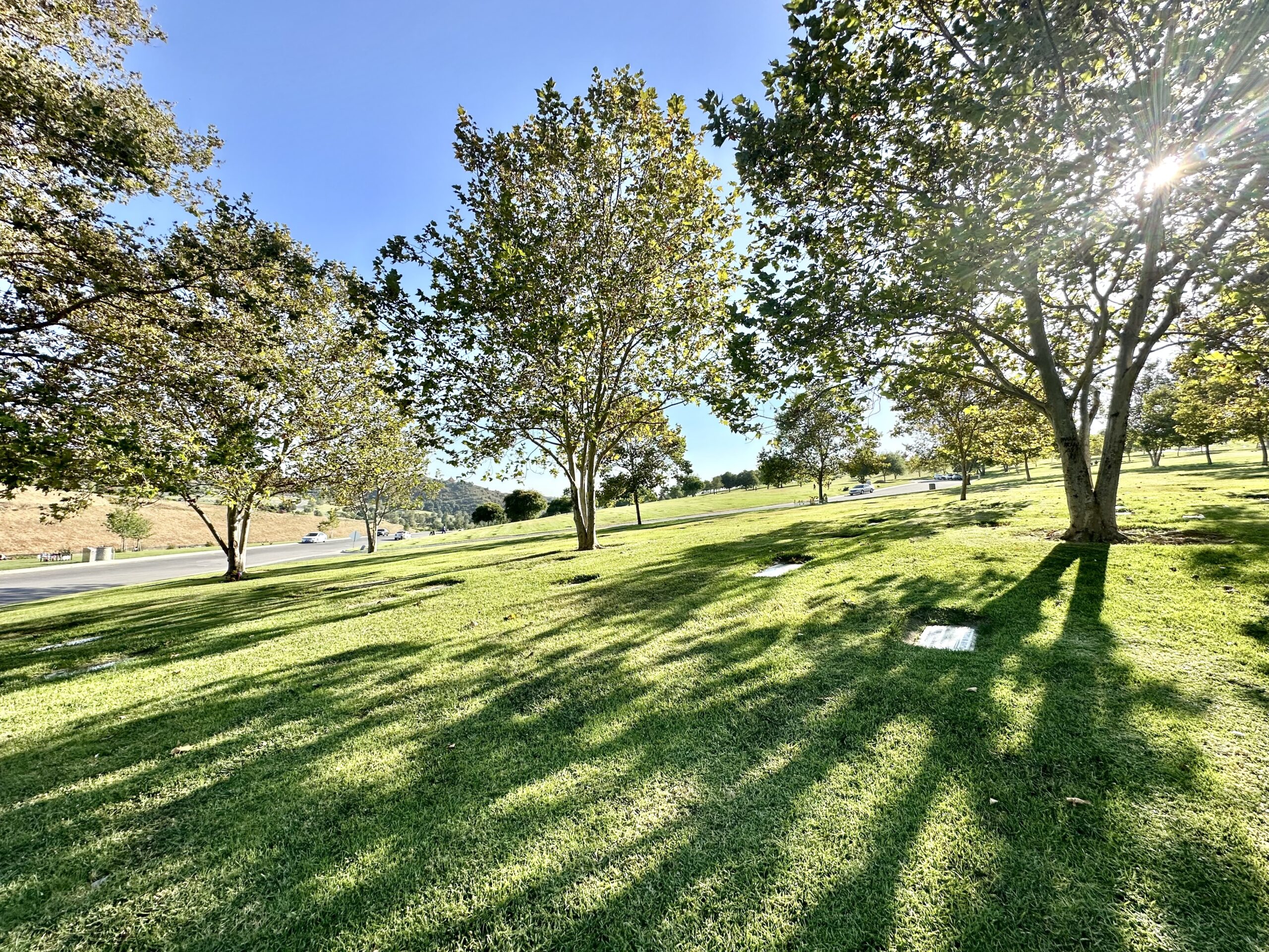 Double grave in Morning Glory Terrace