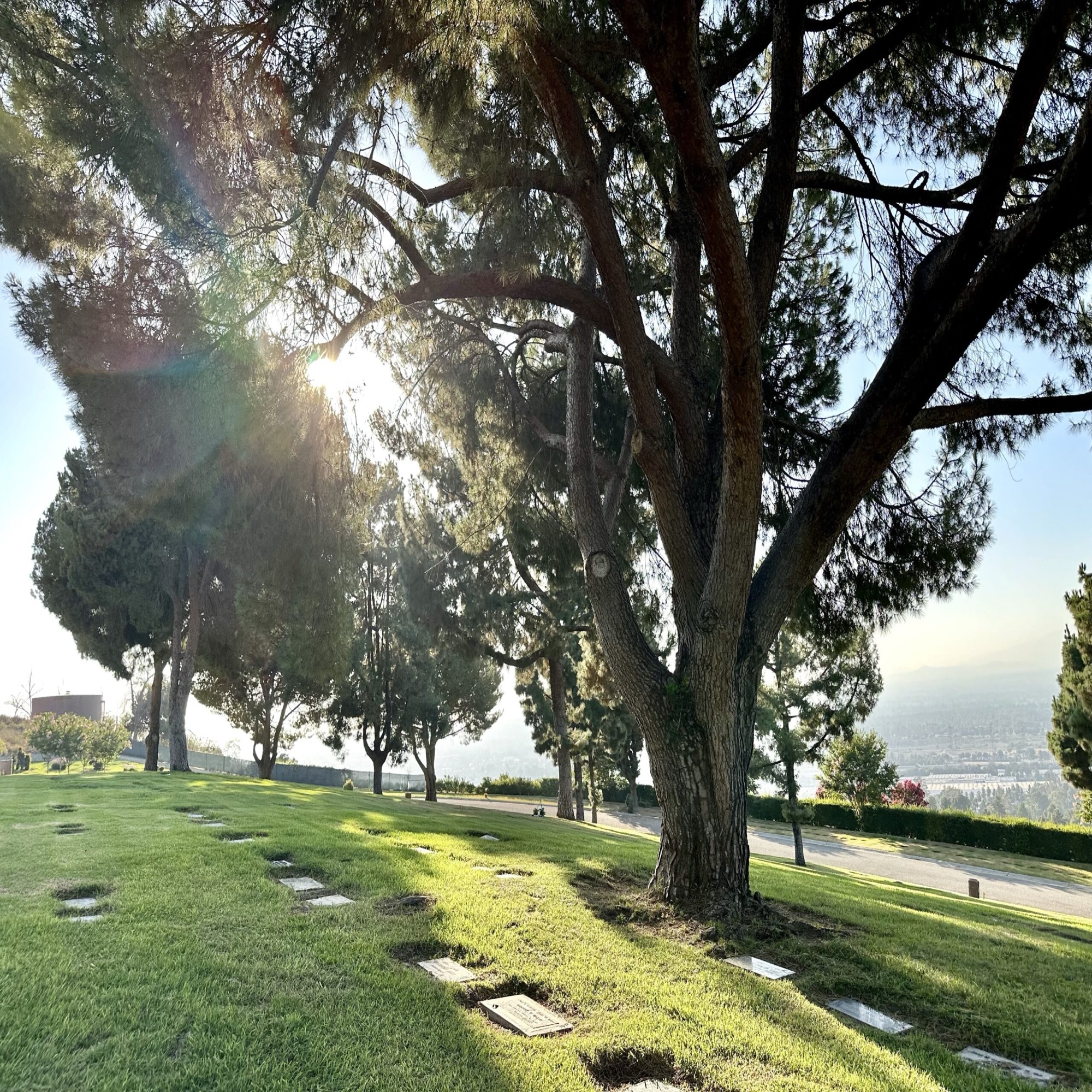 Grave space in Deseret Lawn