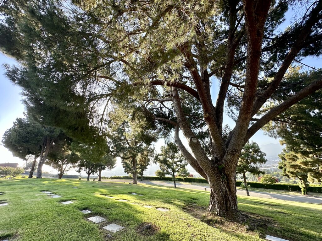 Deseret Lawn, Rose Hills Memorial Park