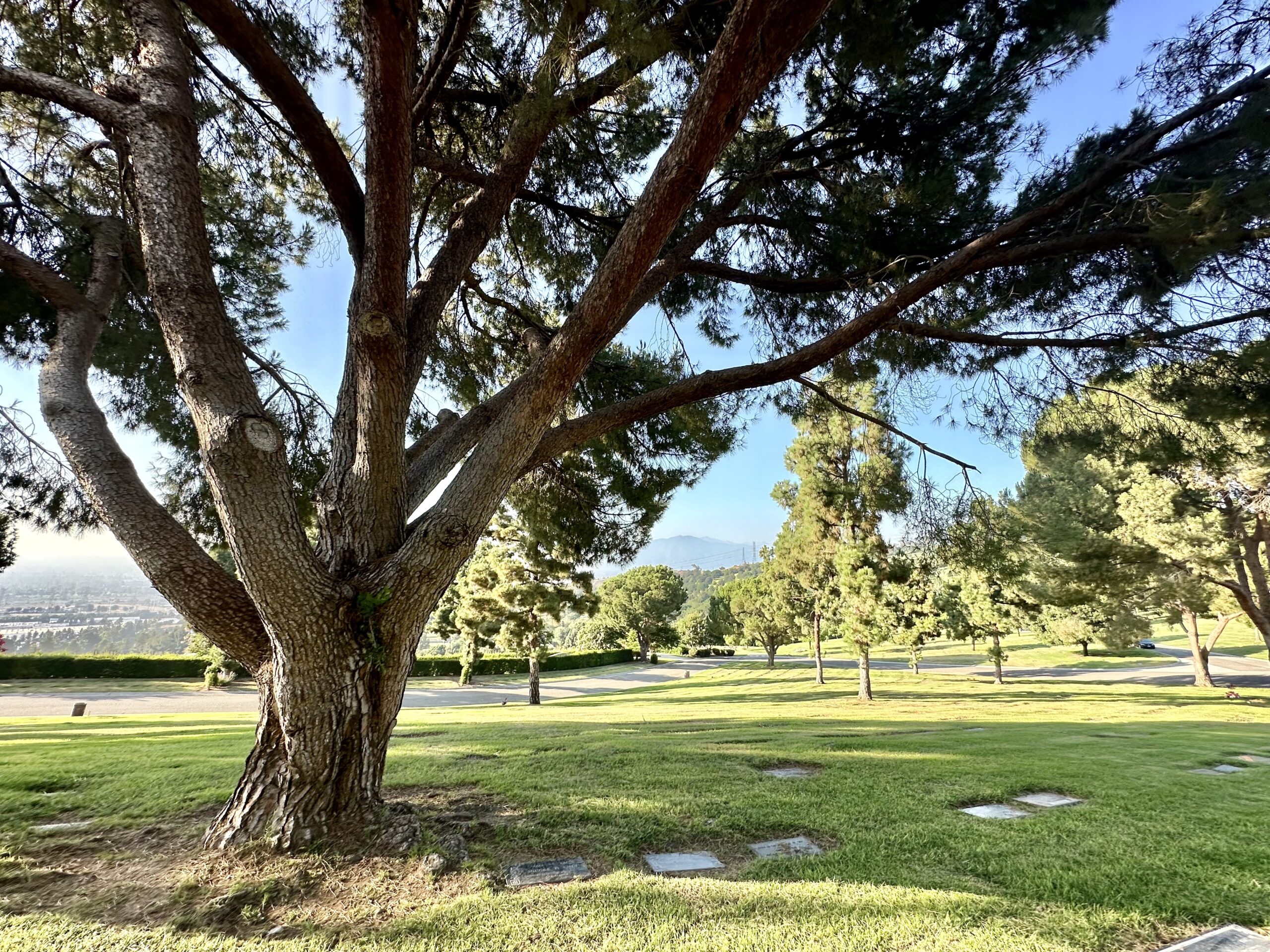 Grave space in Deseret Lawn