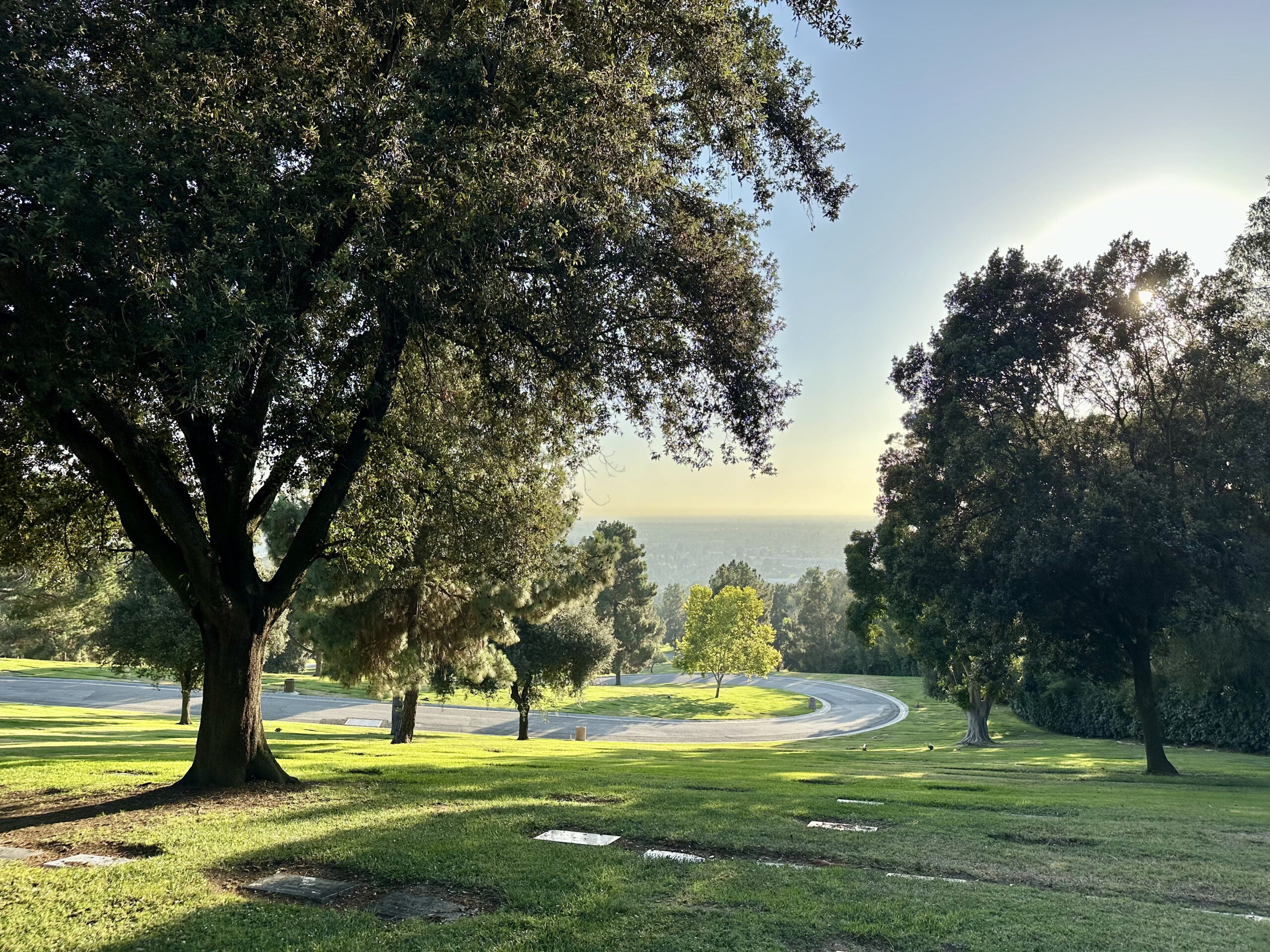 Grave space in Aspen Lawn