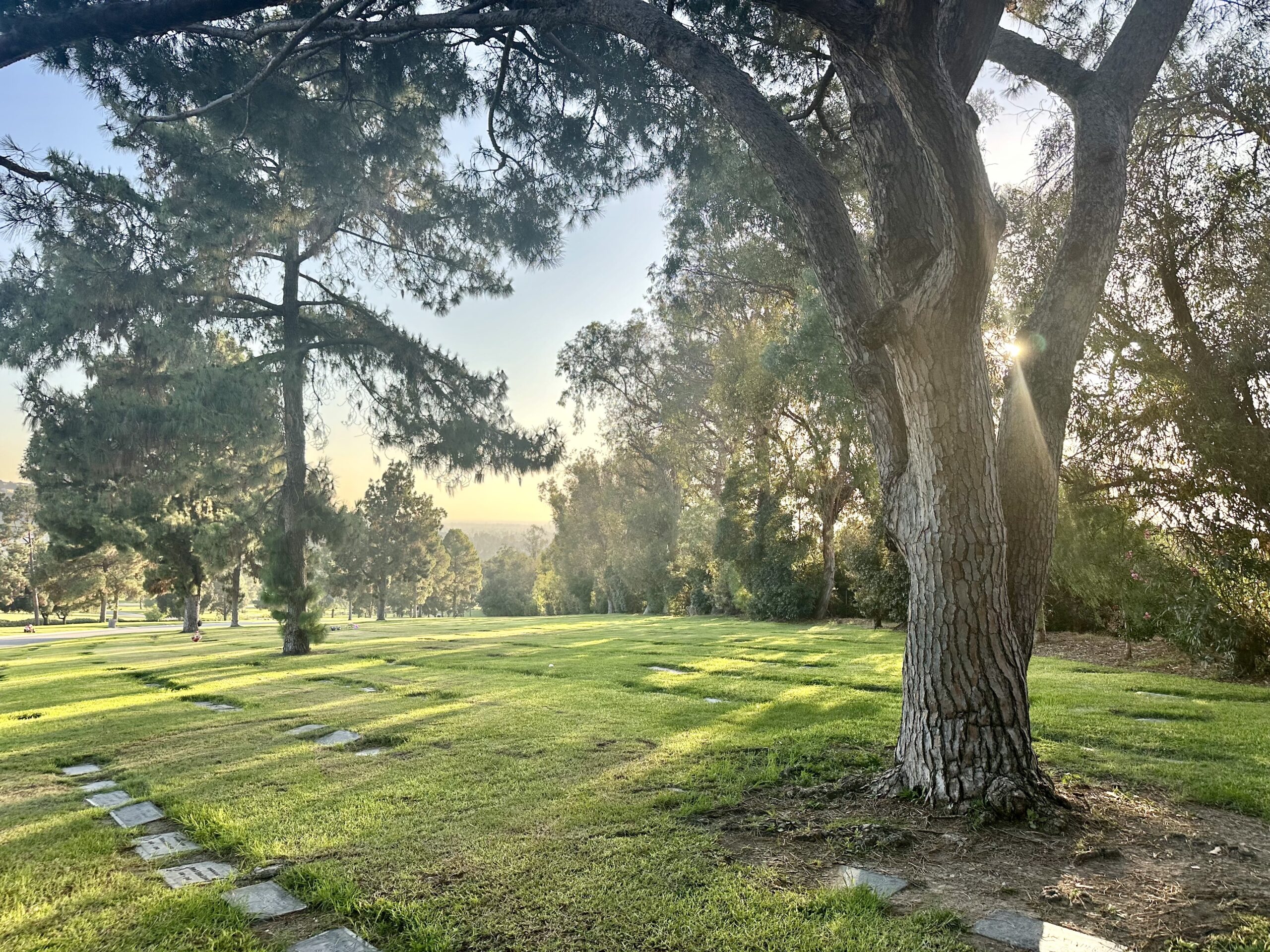 Grave space in Fir Lawn