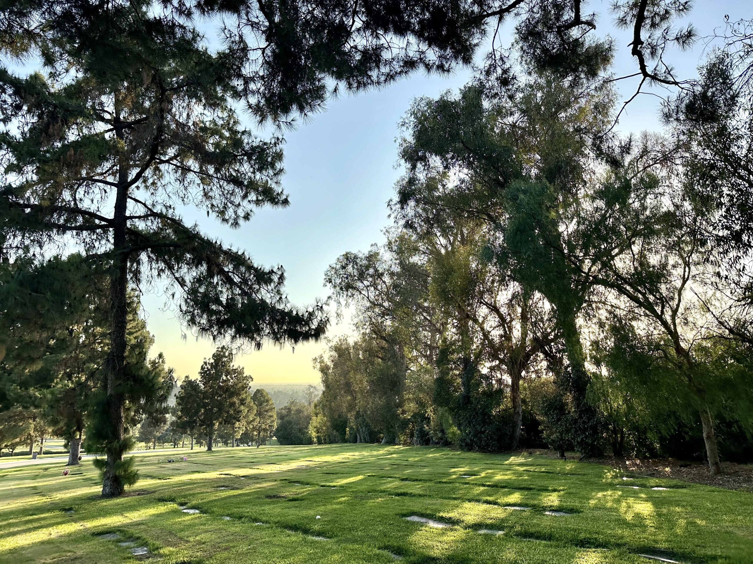 Grave space in Fir Lawn