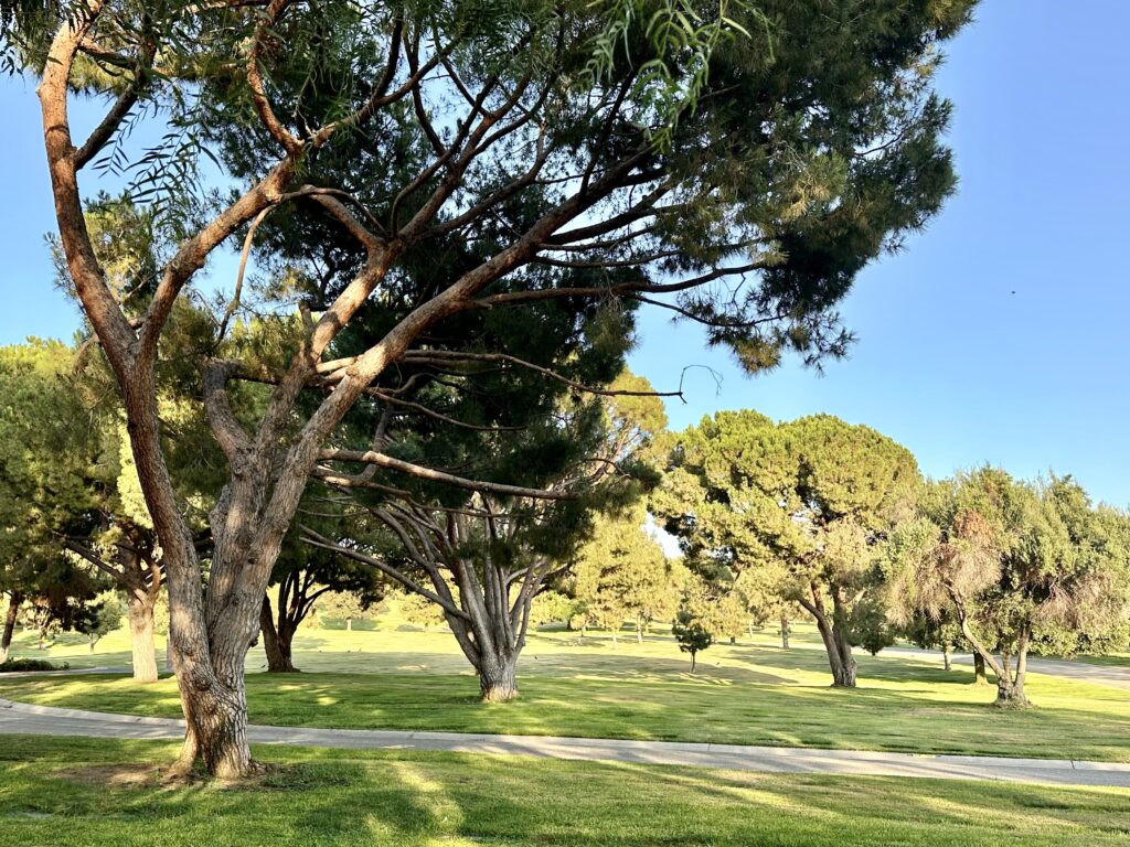 Fir Lawn, Rose Hills Memorial Park