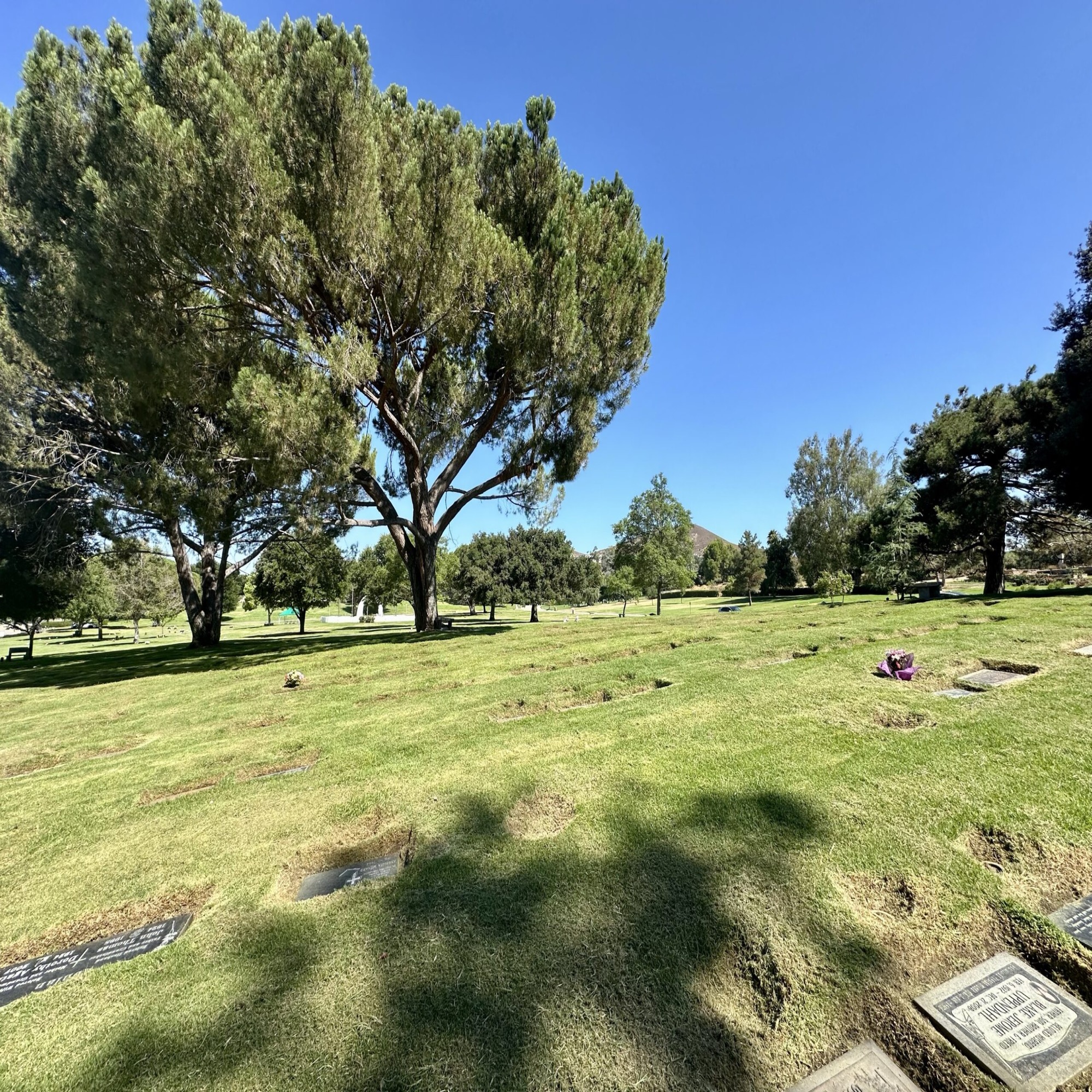 Two grave spaces together in Oak Vale Gardens