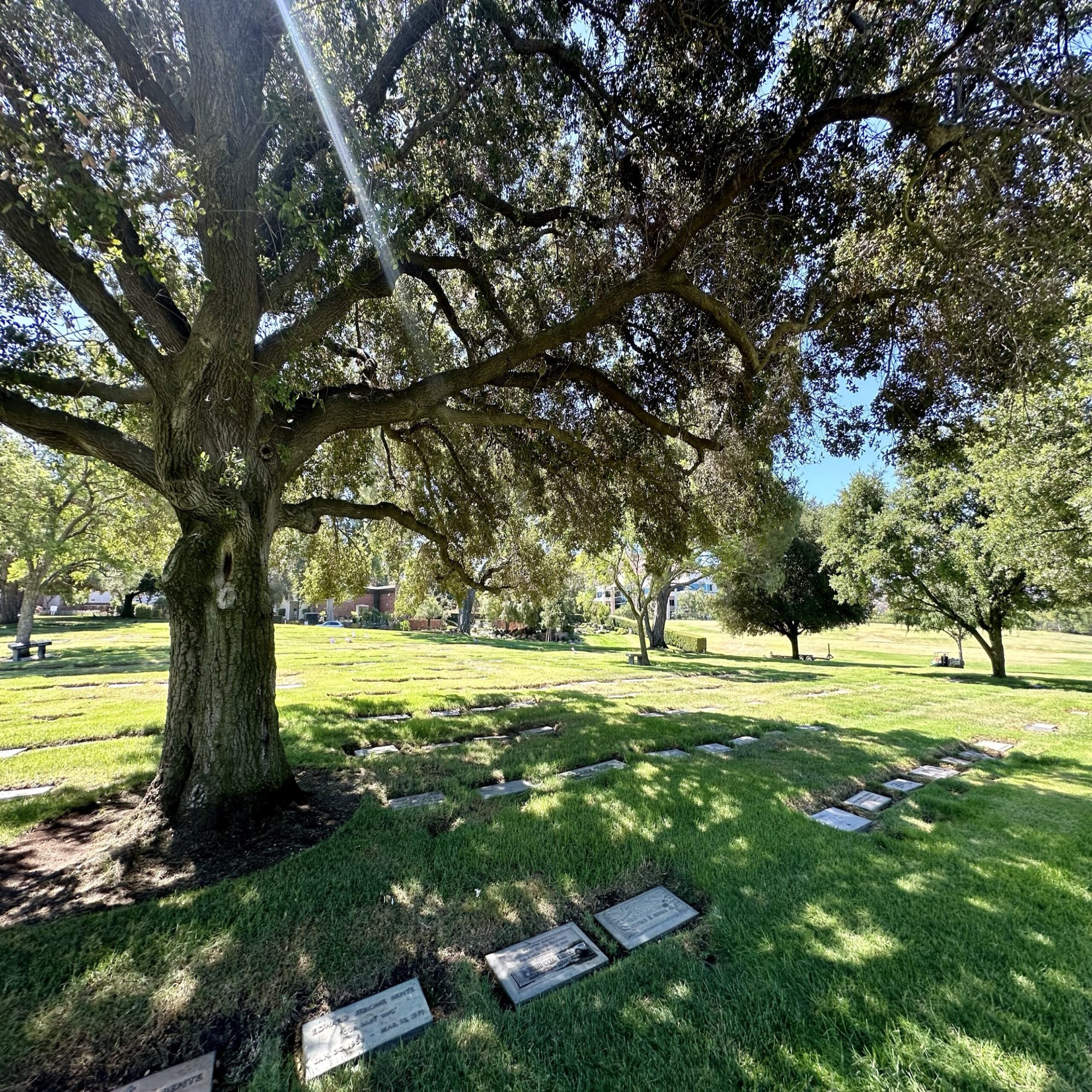 Grave in Court of St Peter