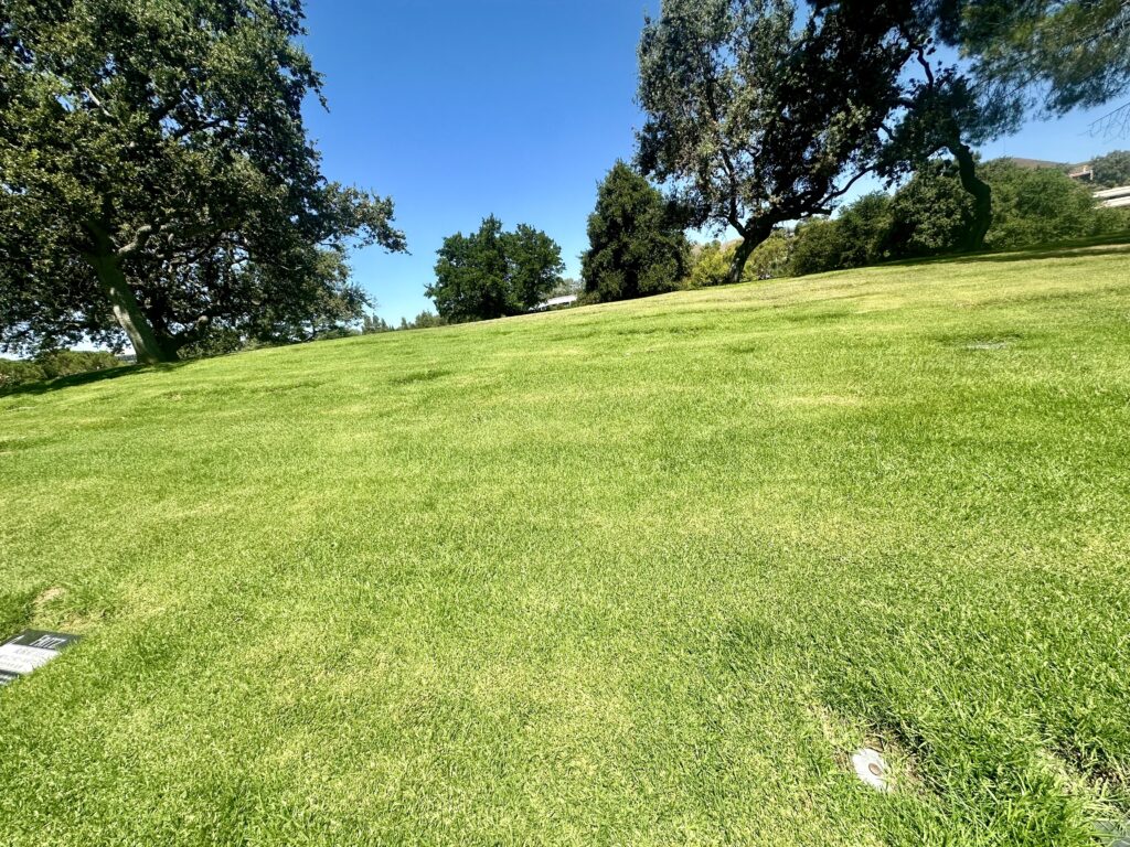 Garden of Gethsemane, Pierce Brothers Valley Oaks