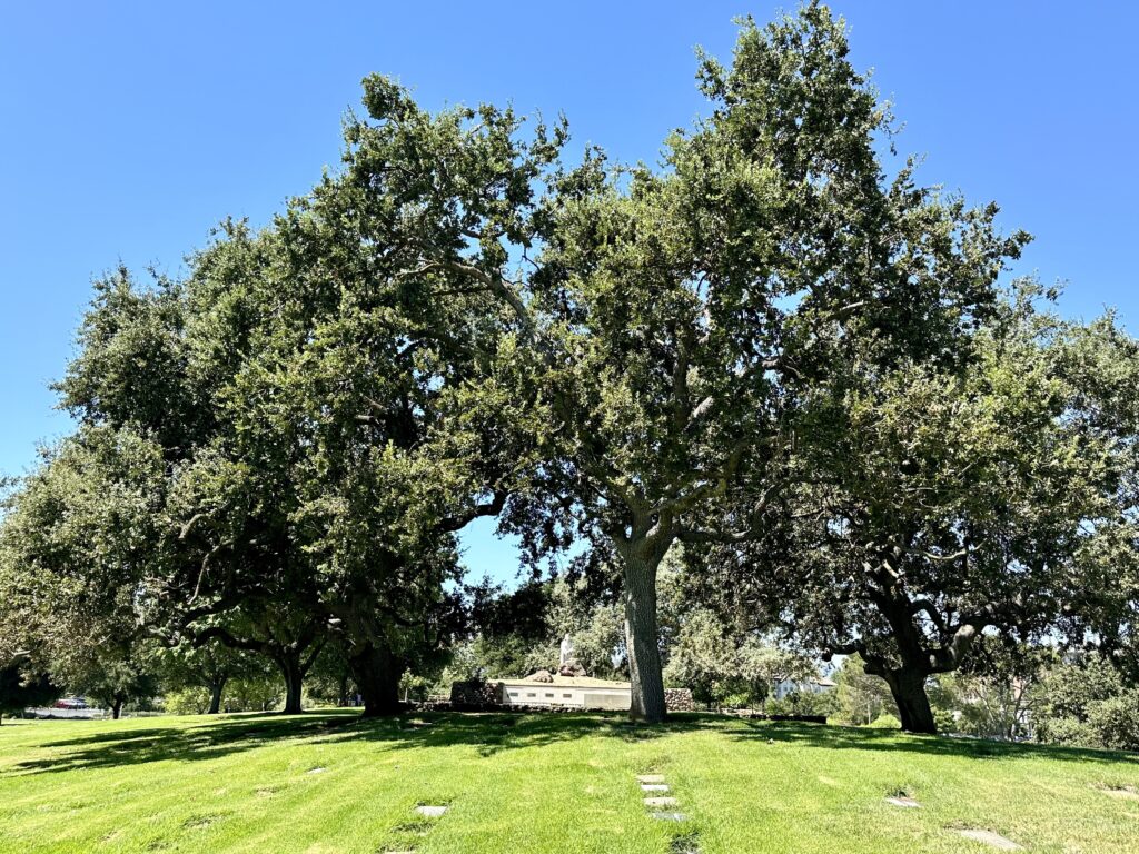 Garden of Gethsemane, Pierce Brothers Valley Oaks