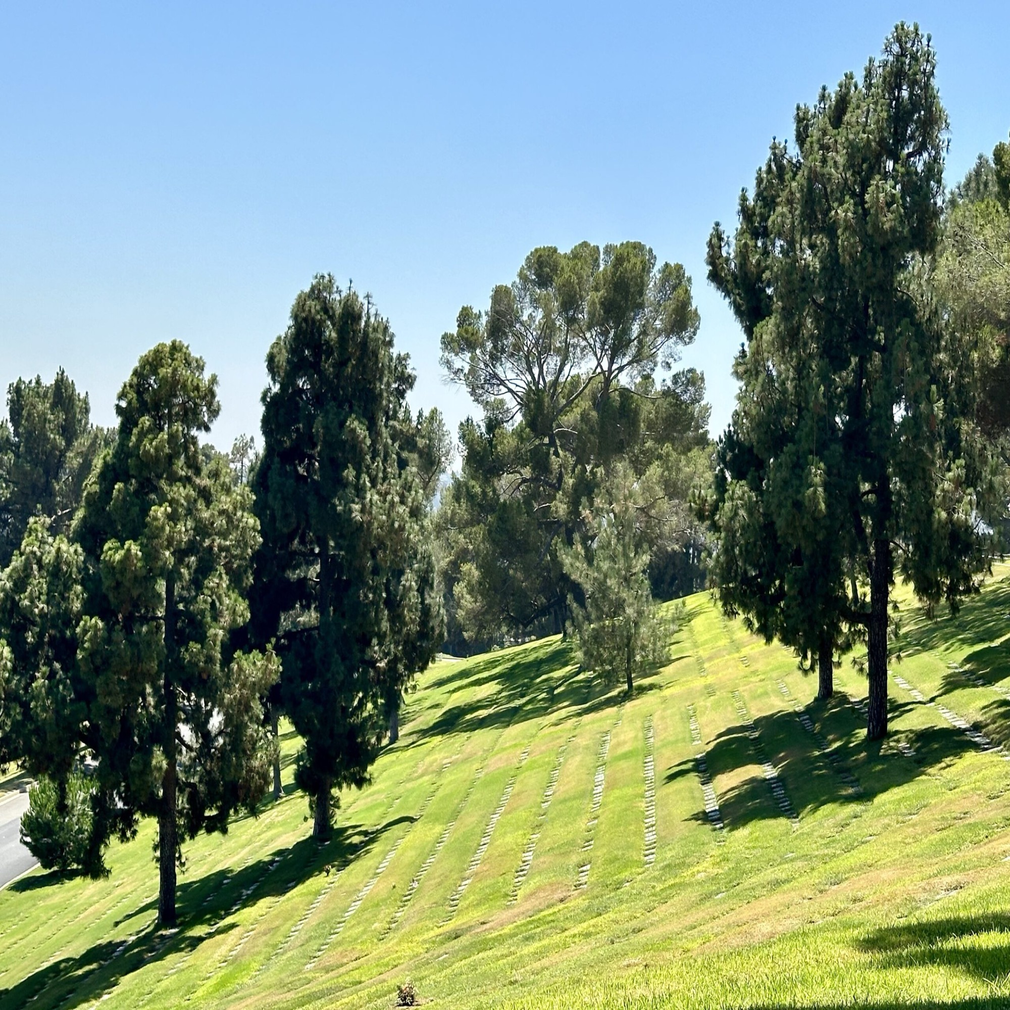 Lawn Crypt (Double Depth) in Inspiration Slope
