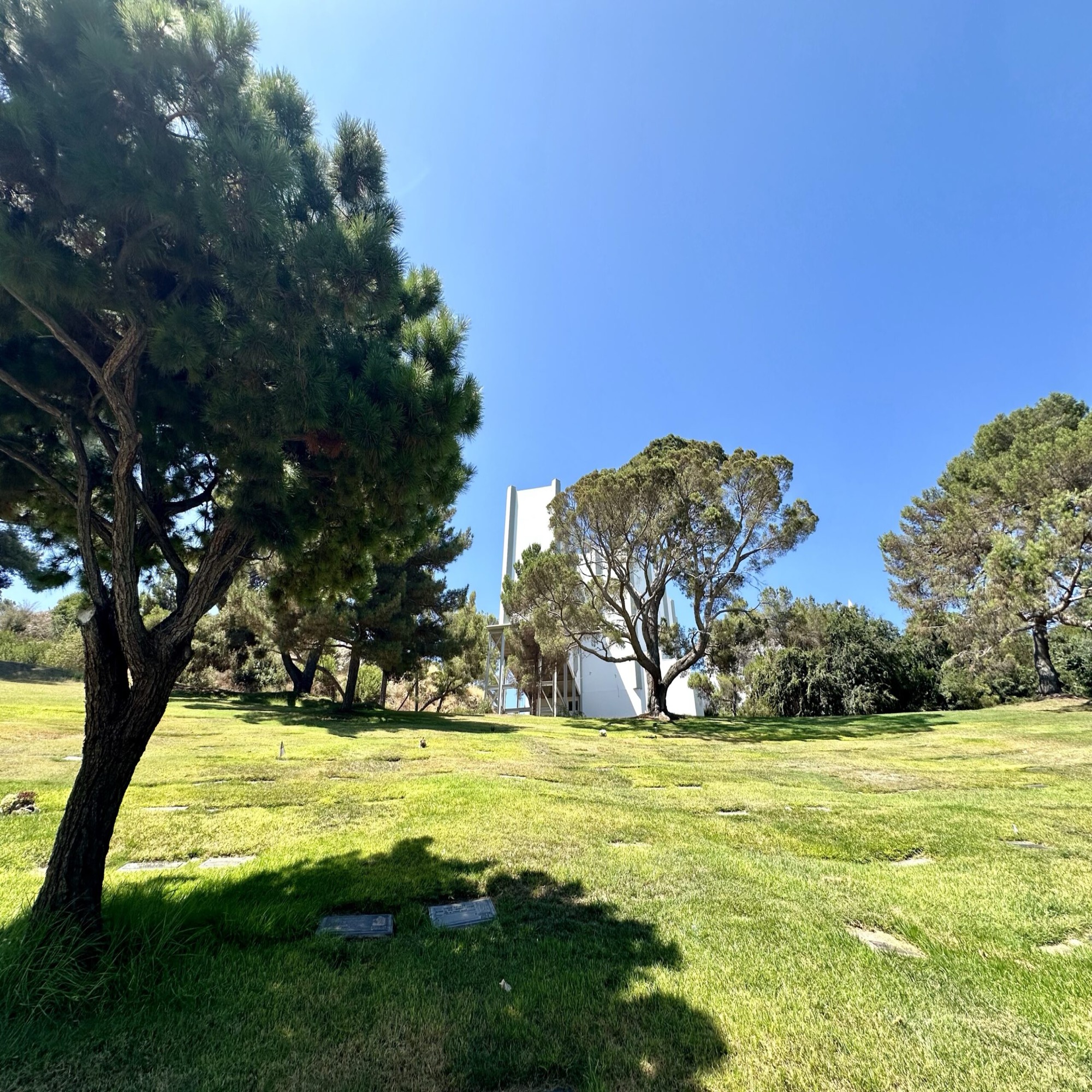 Grave Space in Cathedral Slope