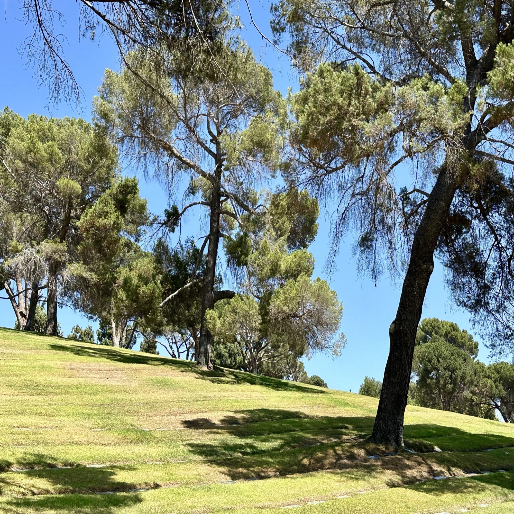 Grave space in Eventide