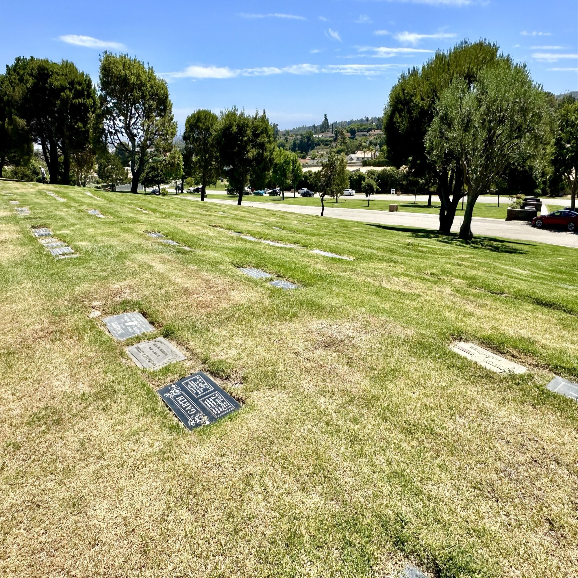 Four double graves in Lakeview Lawn