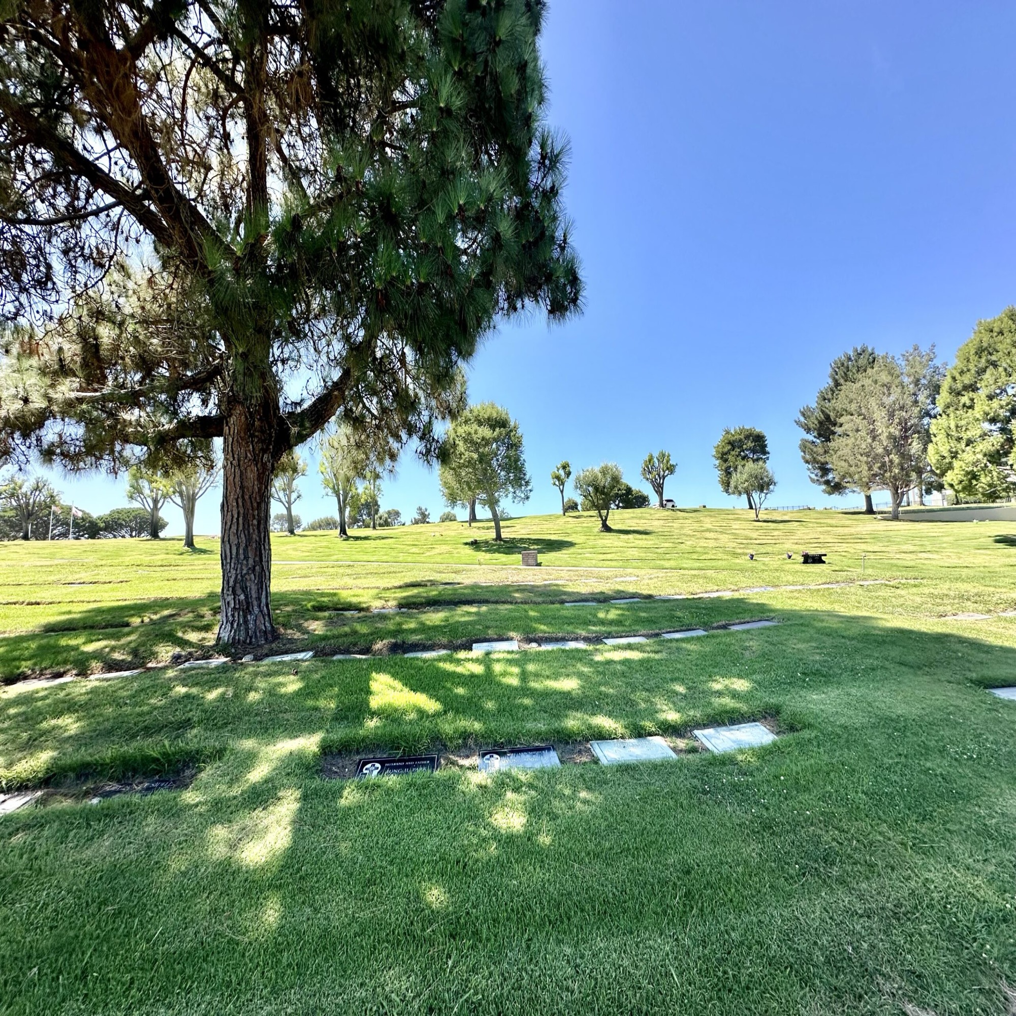 Four grave spaces in Ocean View