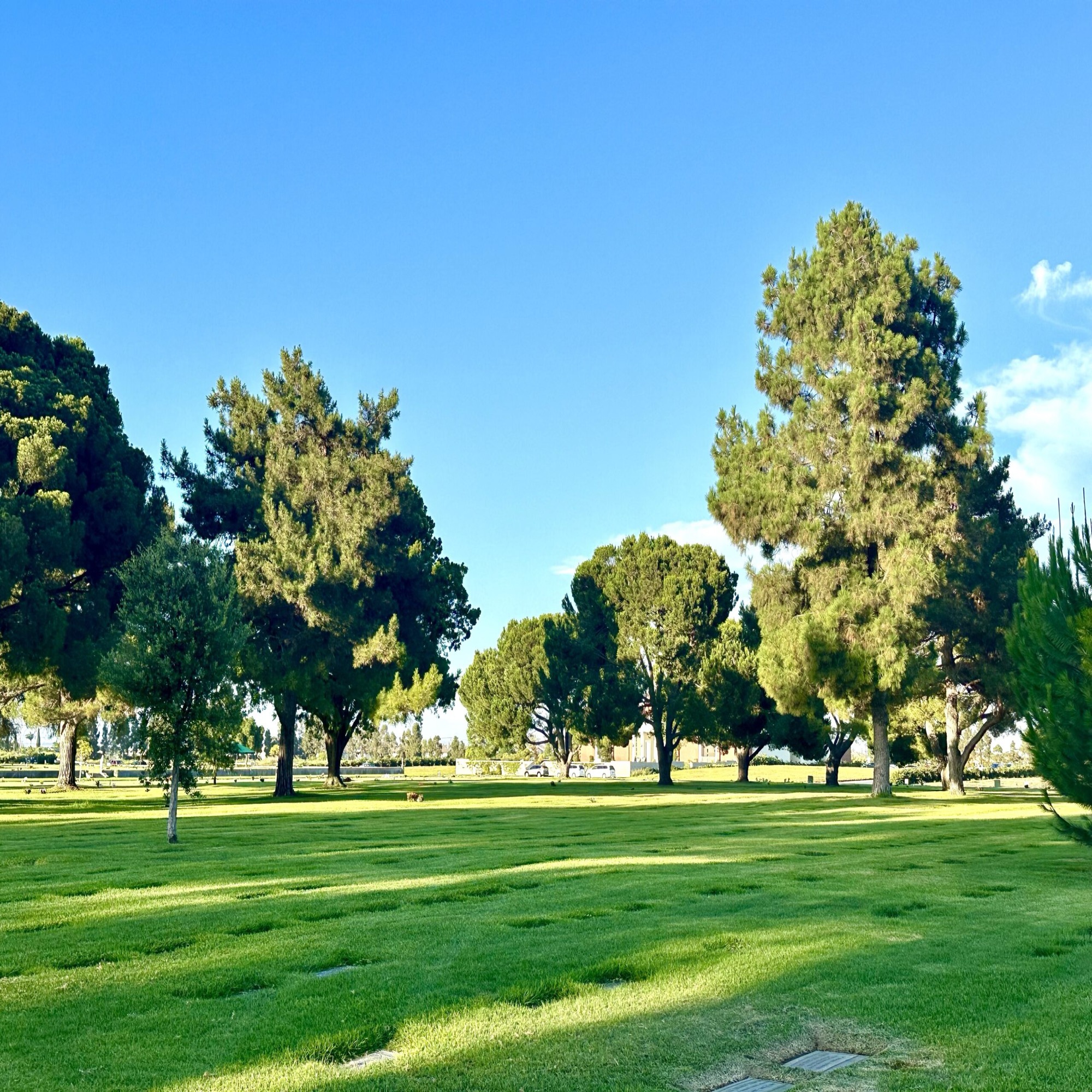 Pair of grave spaces in Sheltering Trees