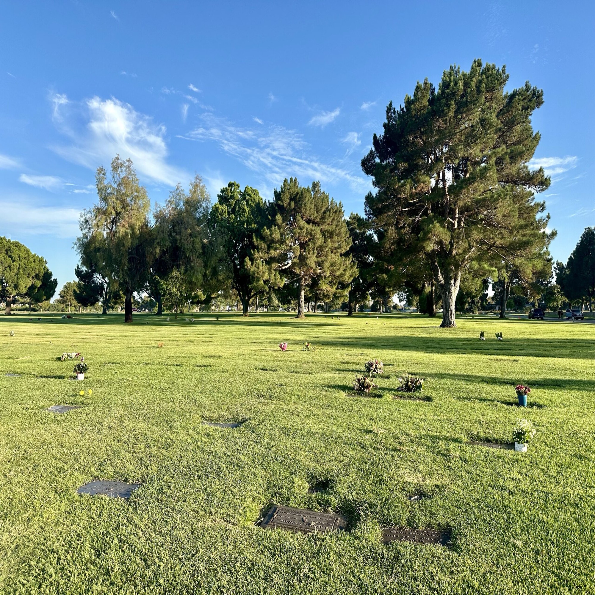 Grave space in Sheltering Trees