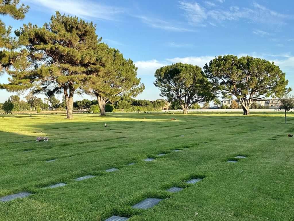 Constant Love, Forest Lawn Cypress