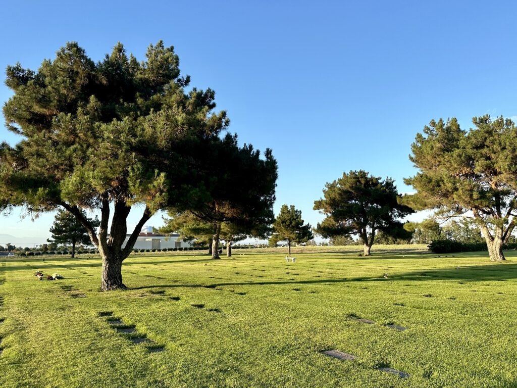 Constant Love, Forest Lawn Cypress