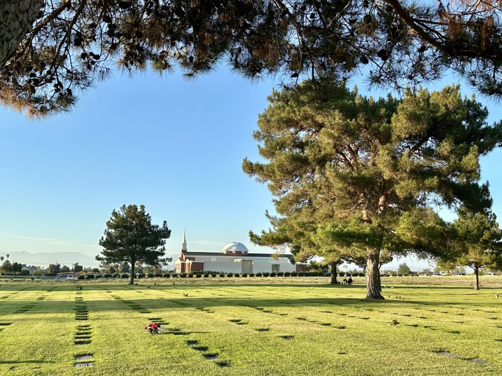 Constant Love, Forest Lawn Cypress