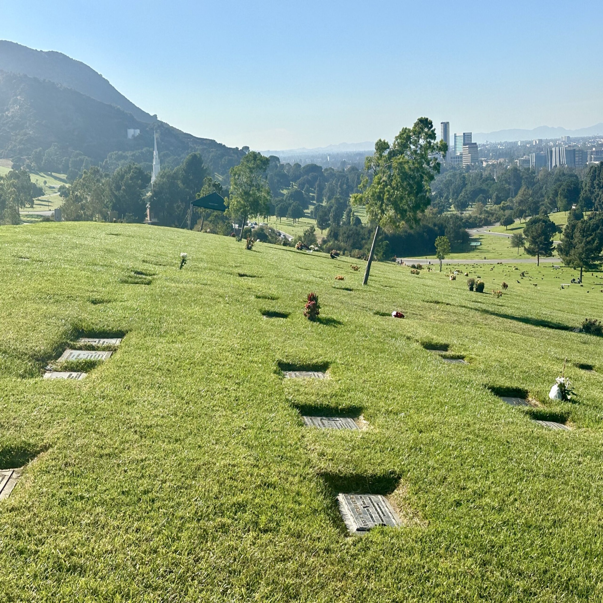 Grave space in Peaceful Memory