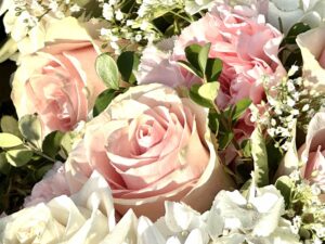 Dr. Martin Luther King's grave pink roses for peace