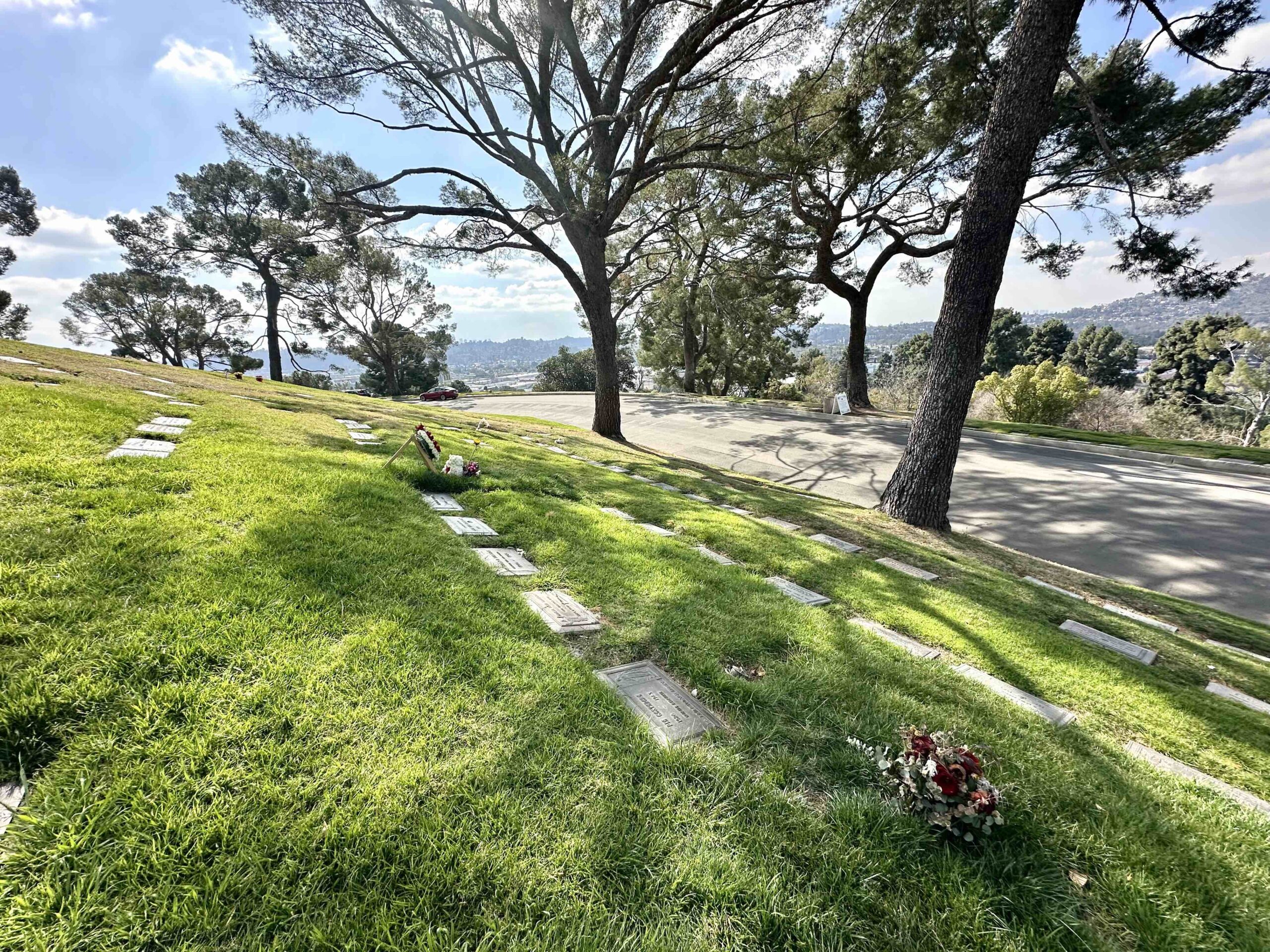 Pair of grave spaces in Cathedral Slope