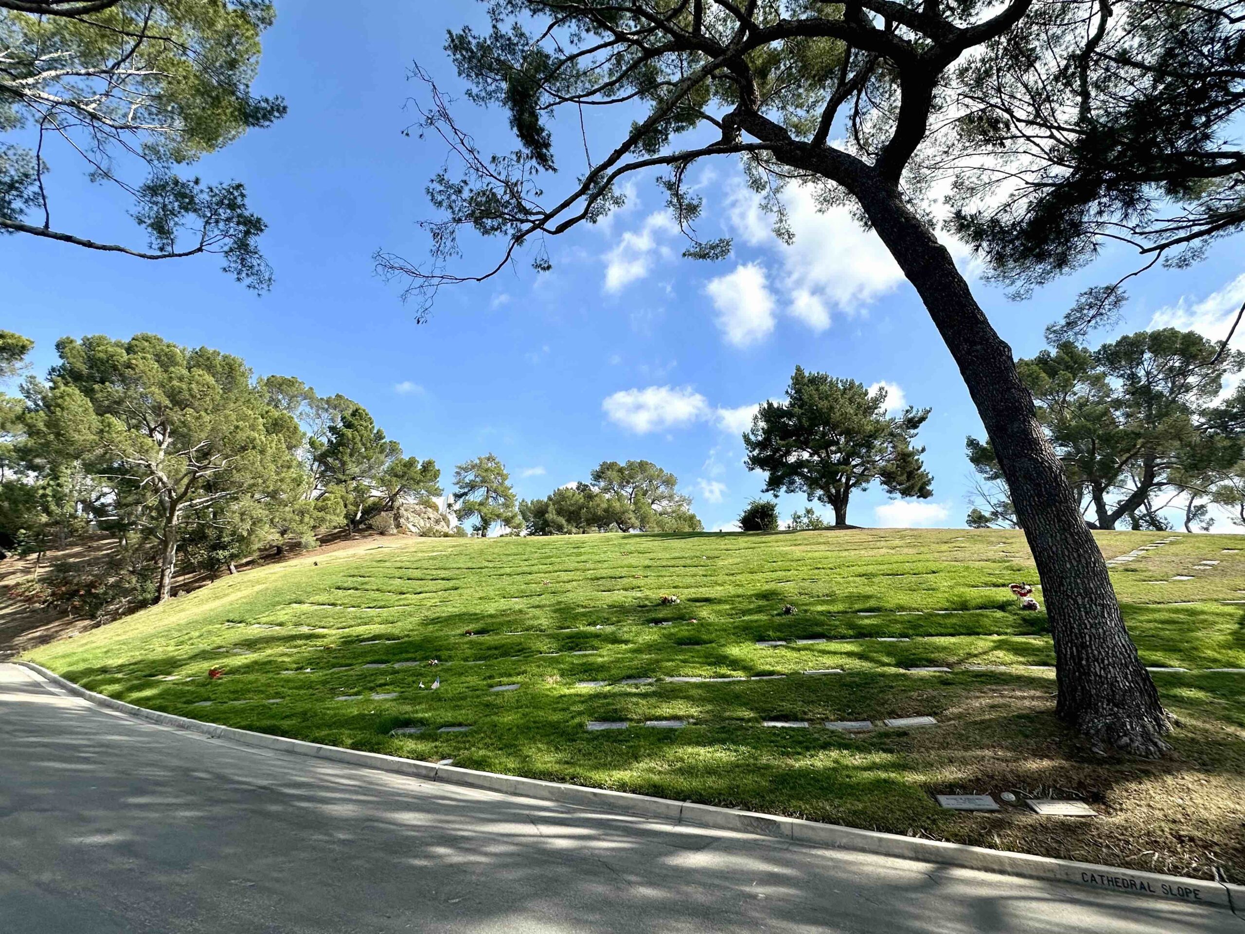 Grave Space in Cathedral Slope