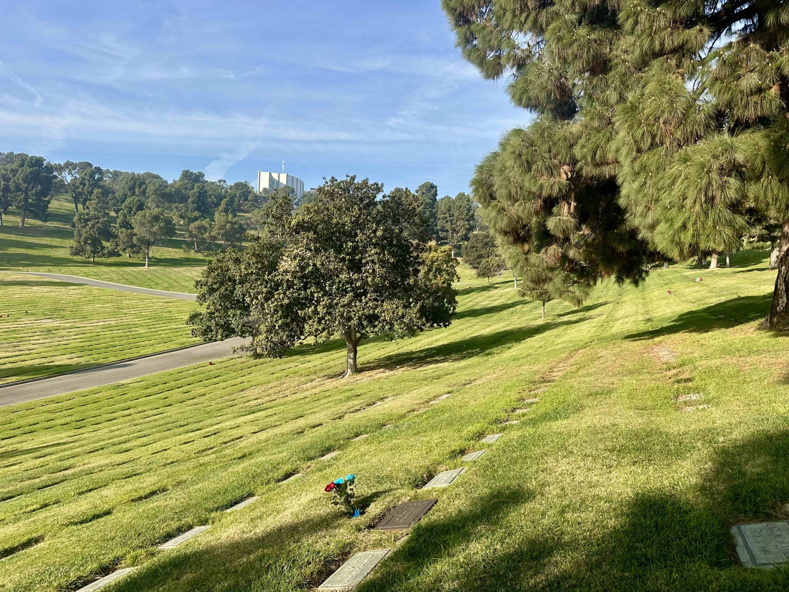 Grave space in Vesperland