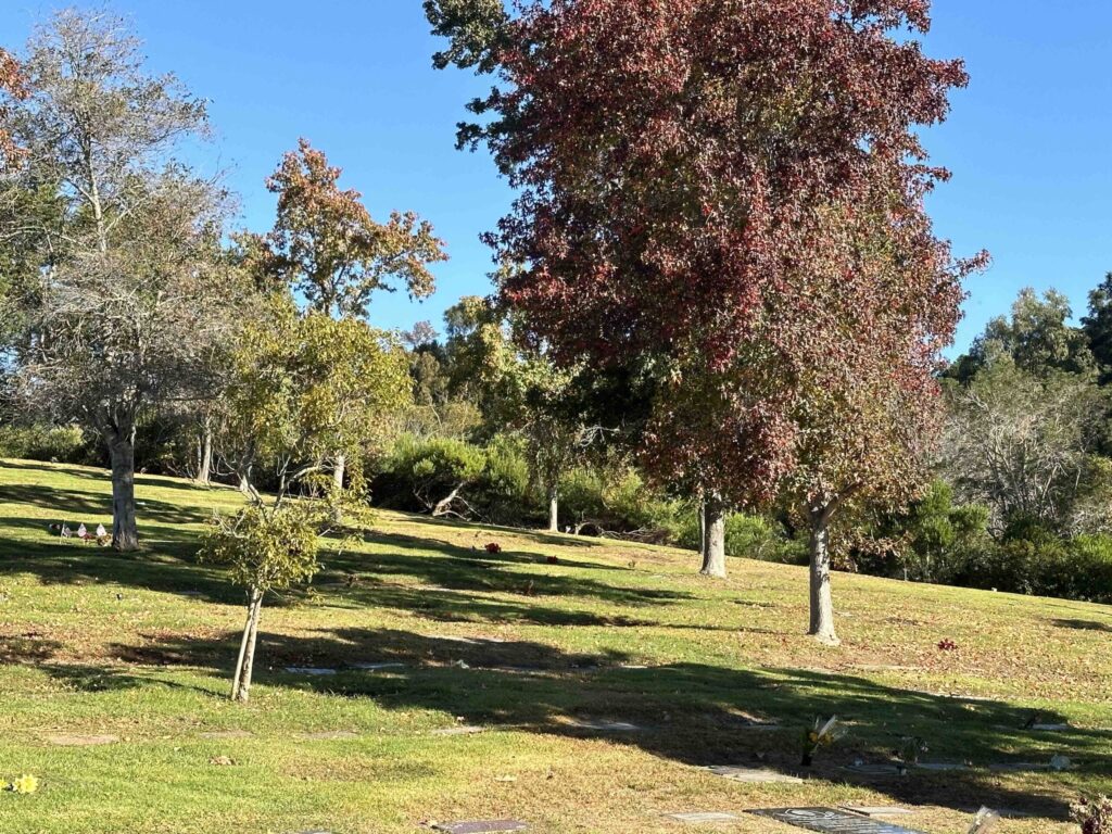 Bayer Cemetery Brokers El Camino Memorial Park Cemetery Freedom Terrace