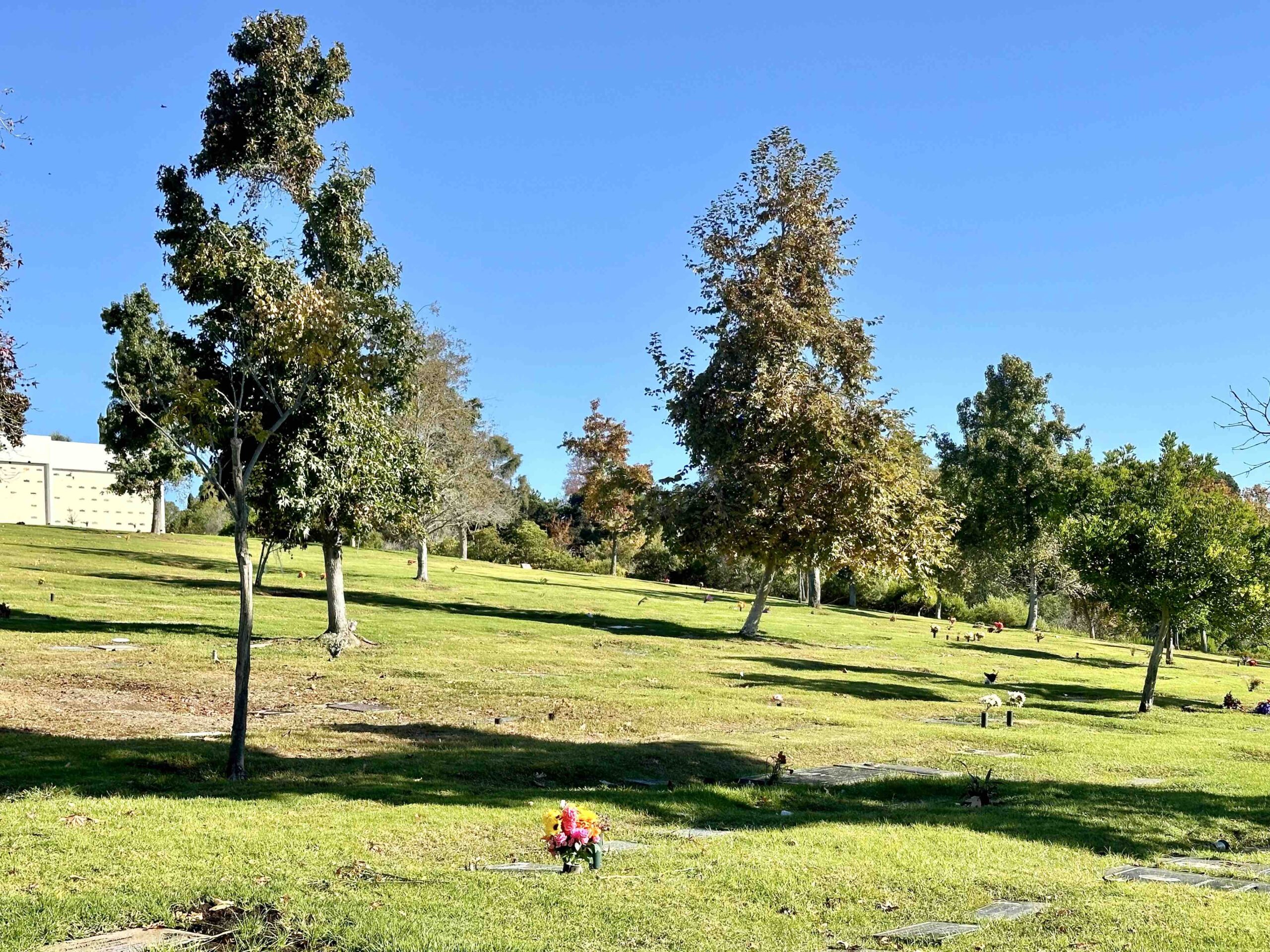 Grave space in Freedom Terrace