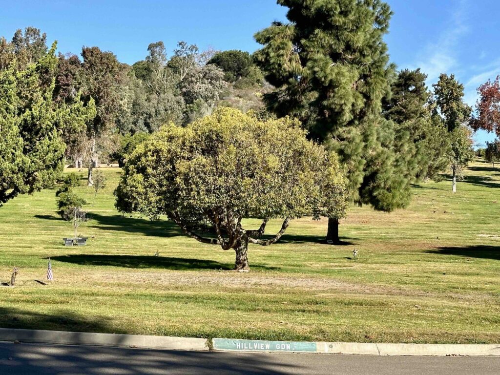 Bayer Cemetery Brokers El Camino Memorial Park Cemetery Hillview Garden