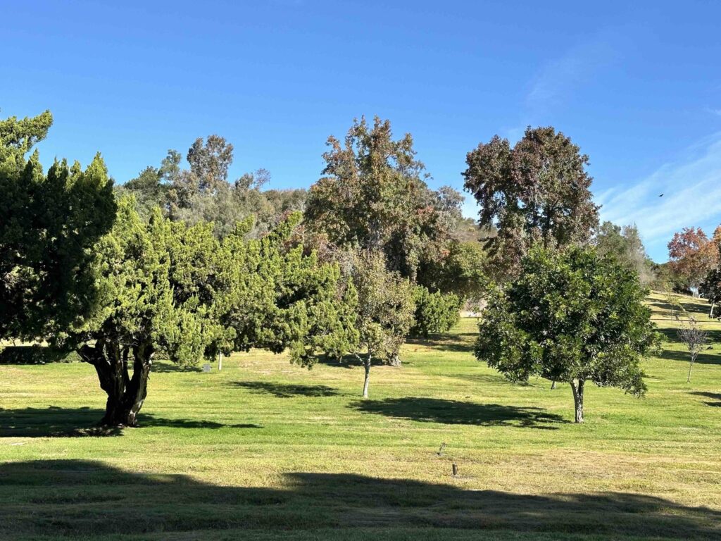 Bayer Cemetery Brokers El Camino Memorial Park Cemetery Hillview Garden