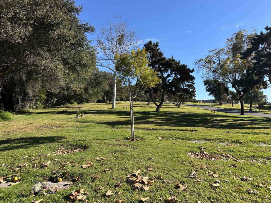 Bayer Cemetery Brokers El Camino Memorial Park Cemetery Moose Defending Circle