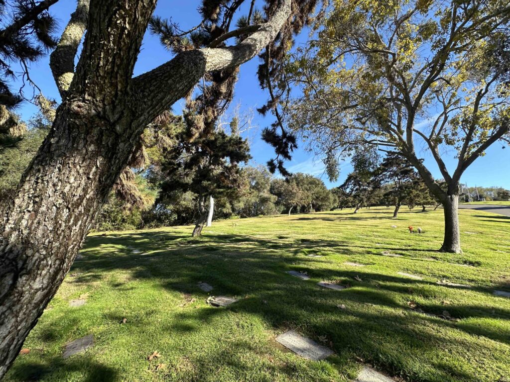 Bayer Cemetery Brokers El Camino Memorial Park Cemetery Moose Defending Circle