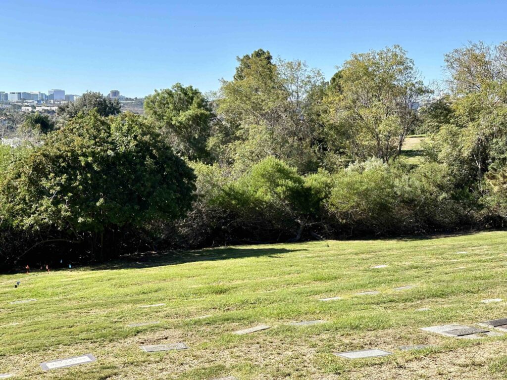 Bayer Cemetery Brokers El Camino Memorial Park Cemetery Veterans Vista