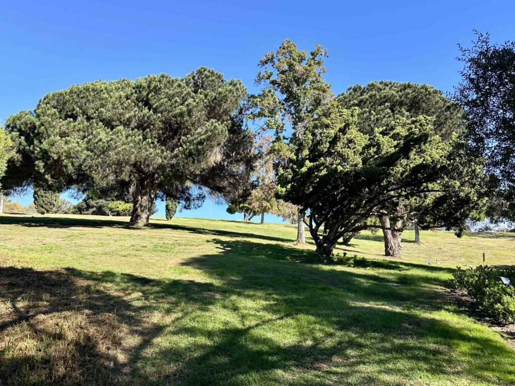 Bayer Cemetery Brokers El Camino Memorial Park Cemetery Veterans Vista