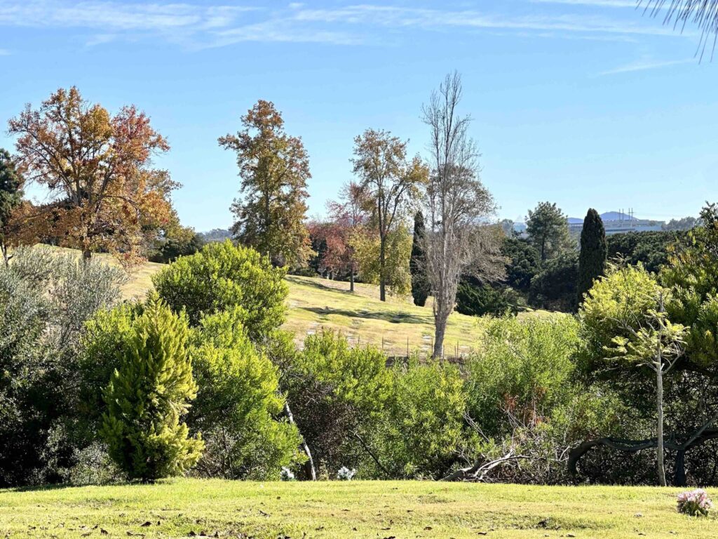 Bayer Cemetery Brokers El Camino Memorial Park Cemetery View from Garden of Honor