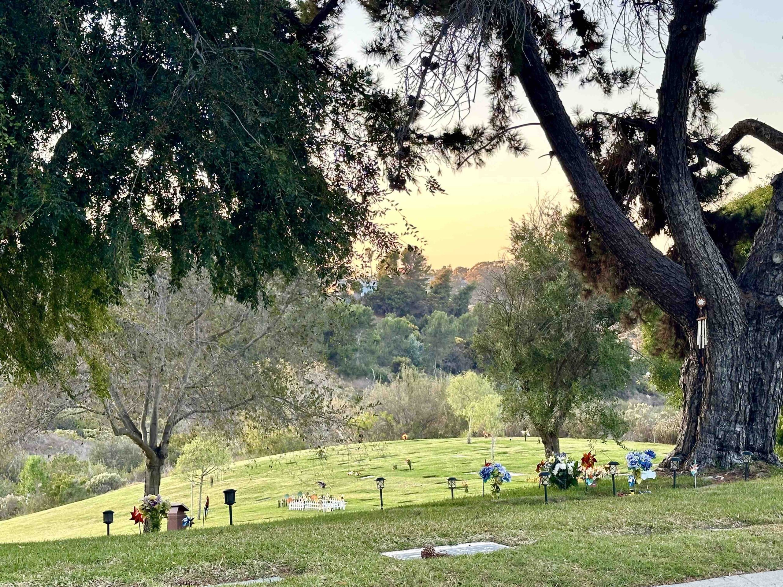 Two grave spaces in Nature View