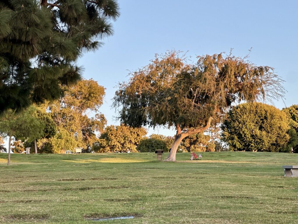 Bayer Cemetery Brokers Eternal Hills Memorial Park Oceanside Siesta Olive