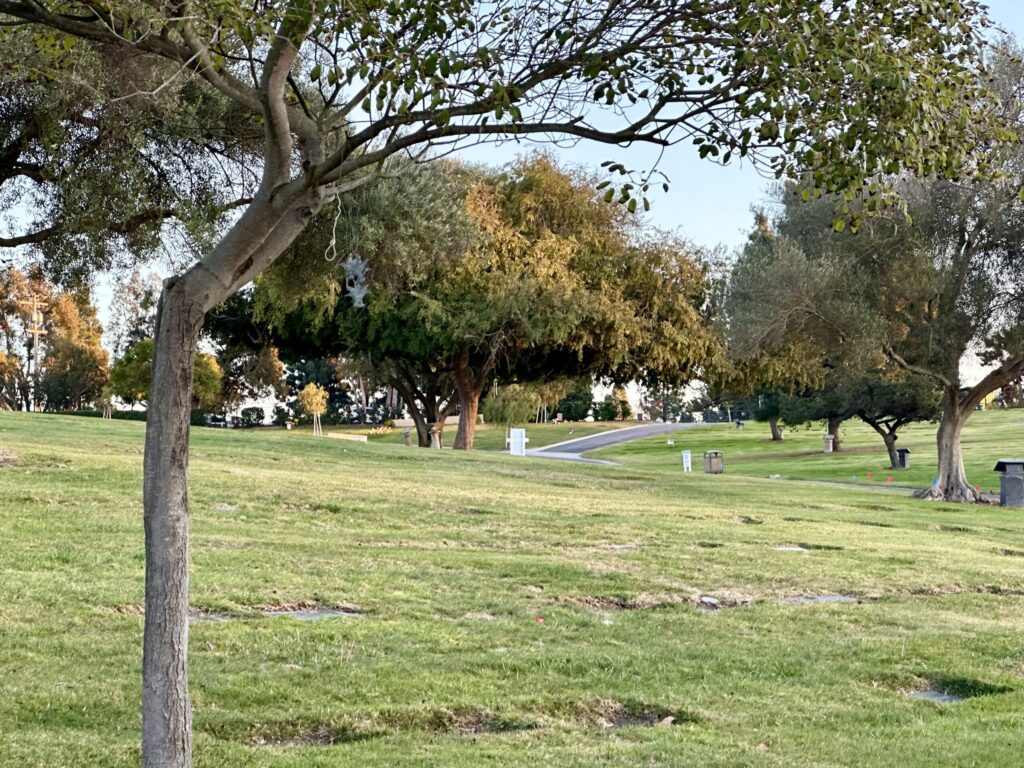 Bayer Cemetery Brokers Eternal Hills Memorial Park Oceanside Siesta Olive
