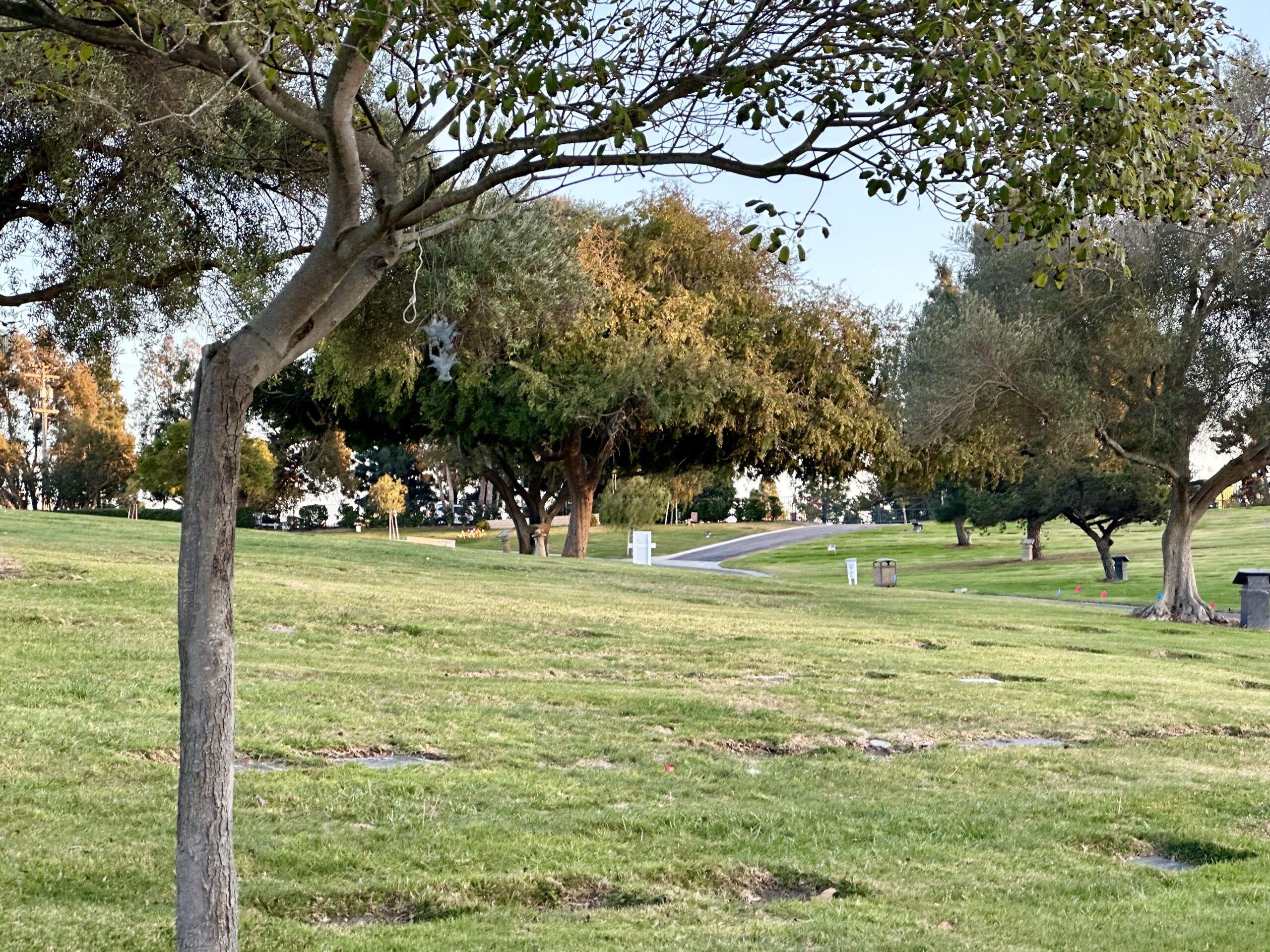 Grave space in Siesta Slope