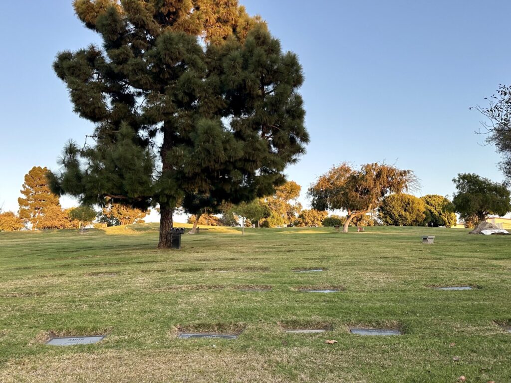Bayer Cemetery Brokers Eternal Hills Memorial Park Oceanside Siesta Olive