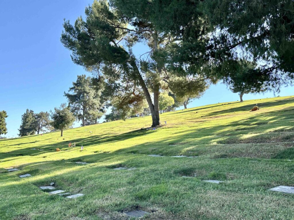Bayer Cemetery Brokers Forest Lawn Covina Hills Cherished Memory