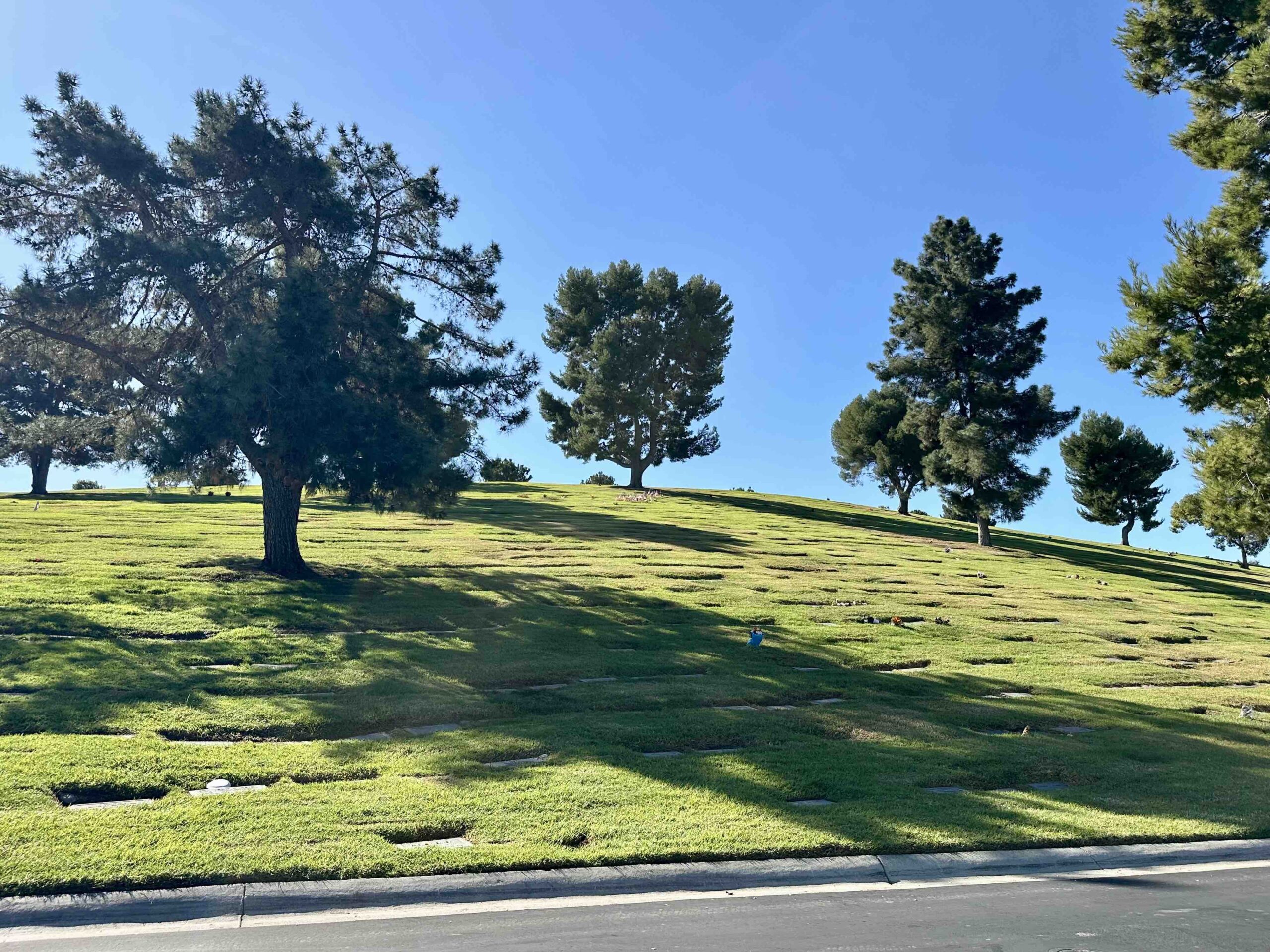 Two grave spaces in Cherished Memory