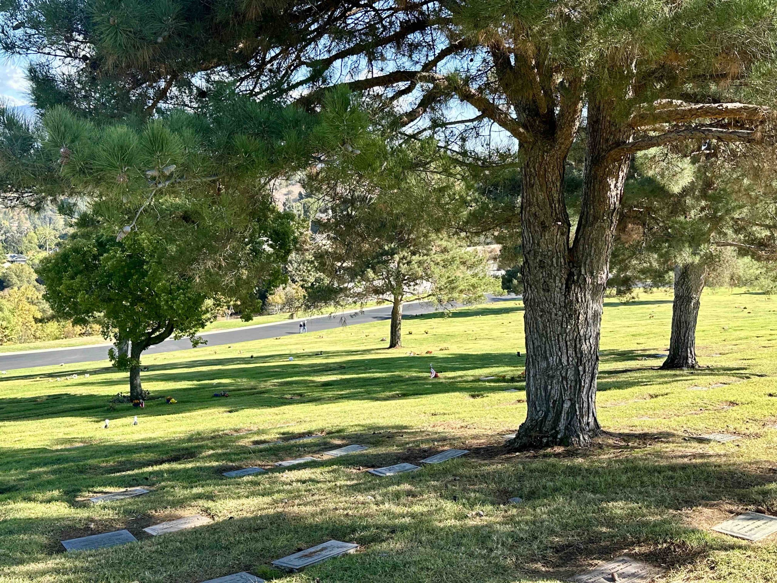 Grave space in Cherished Memory