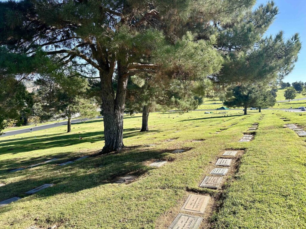 Bayer Cemetery Brokers Forest Lawn Covina Hills Cherished Memory