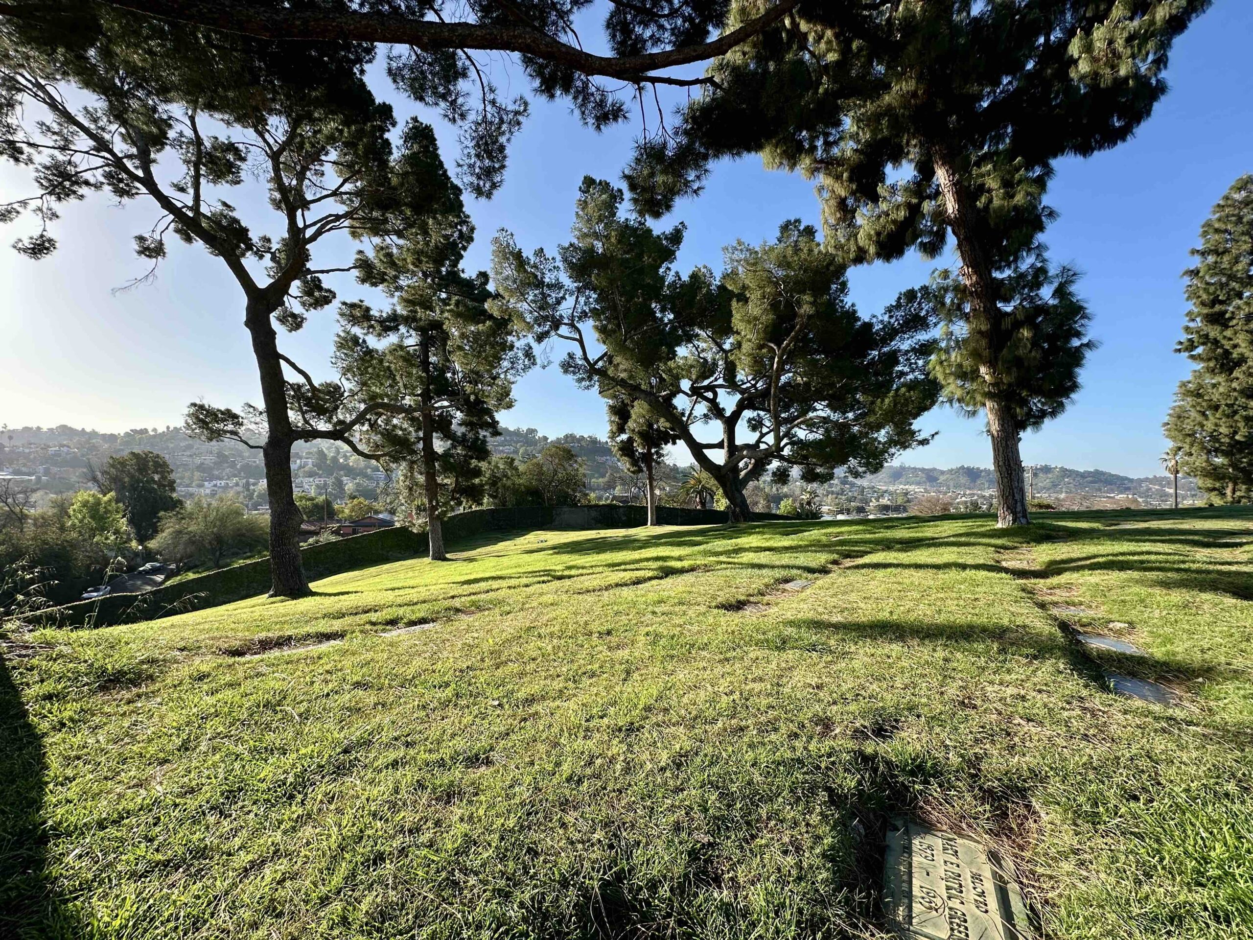 Grave Space in Fidelity