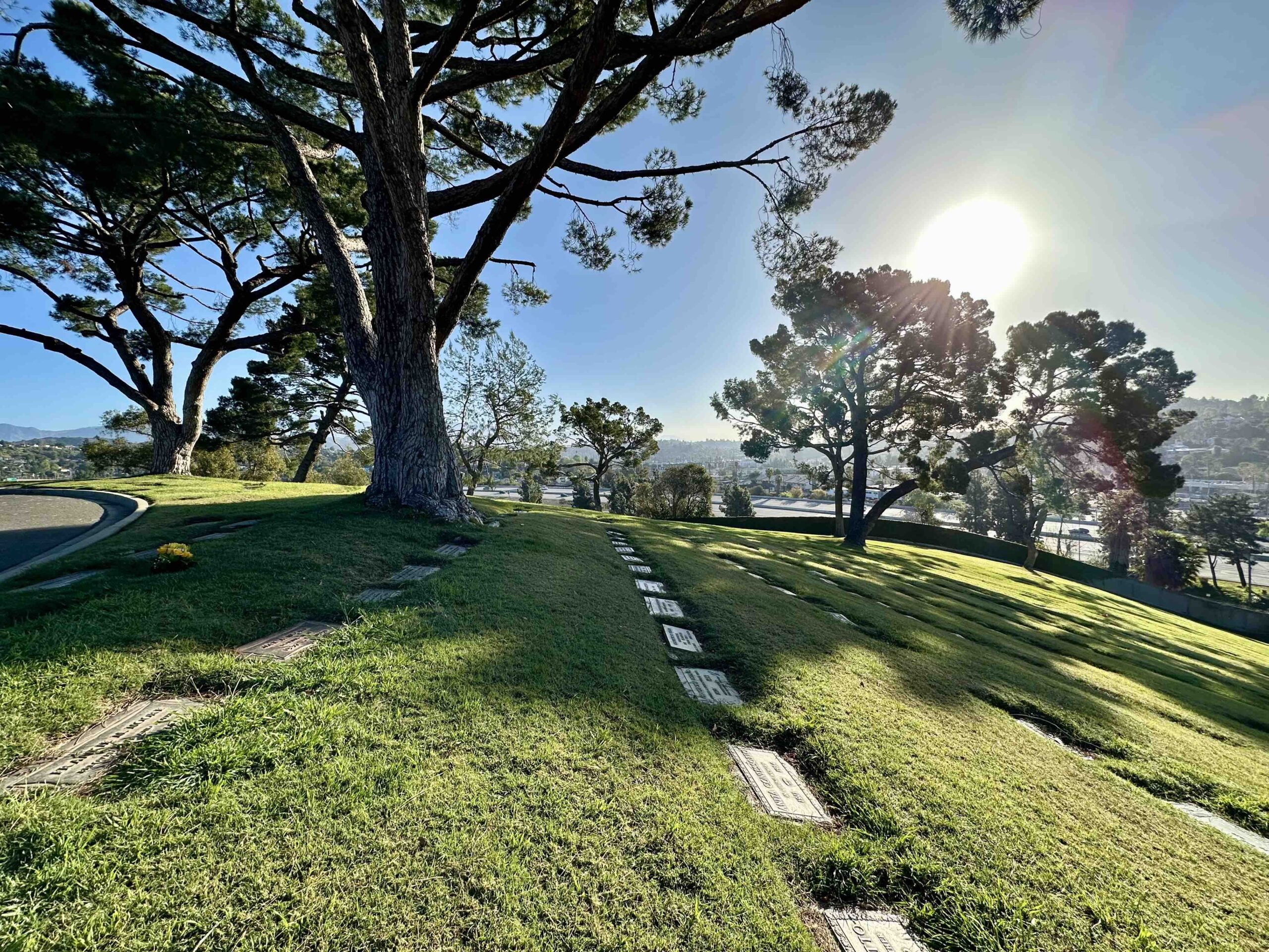 Grave Space in Fidelity